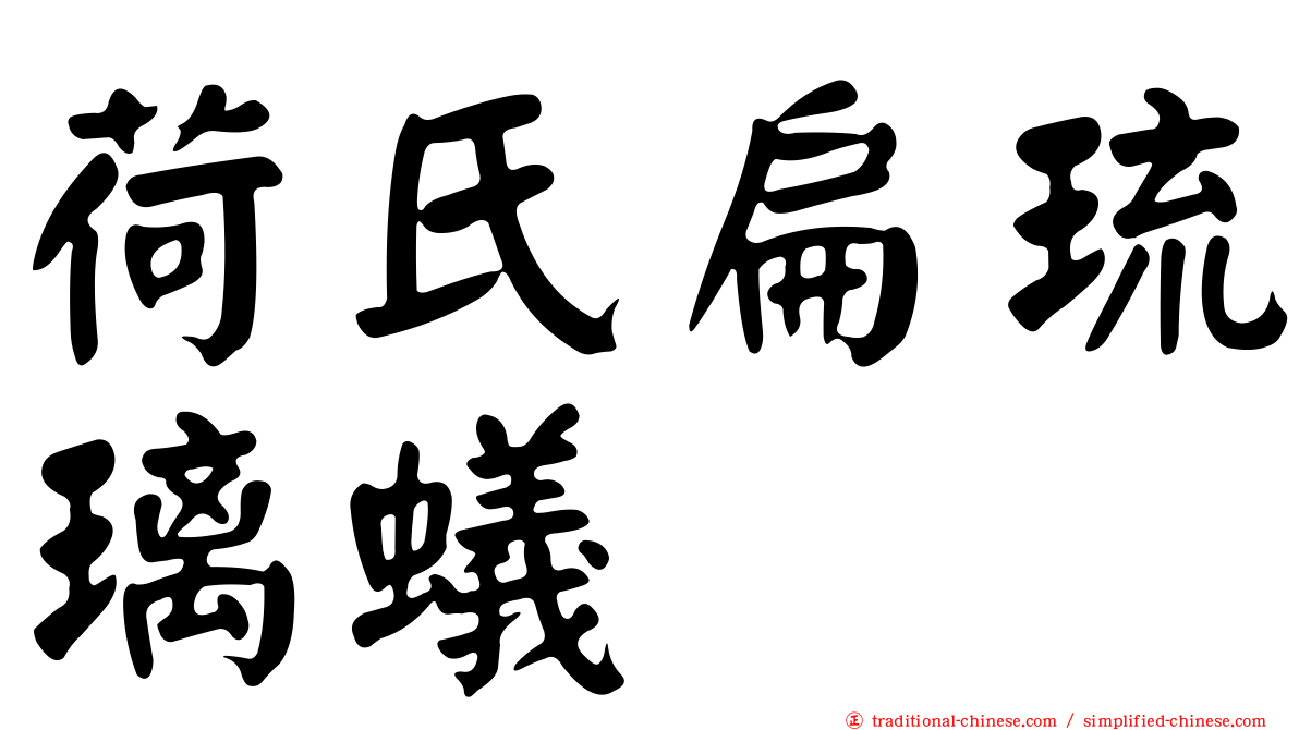 荷氏扁琉璃蟻