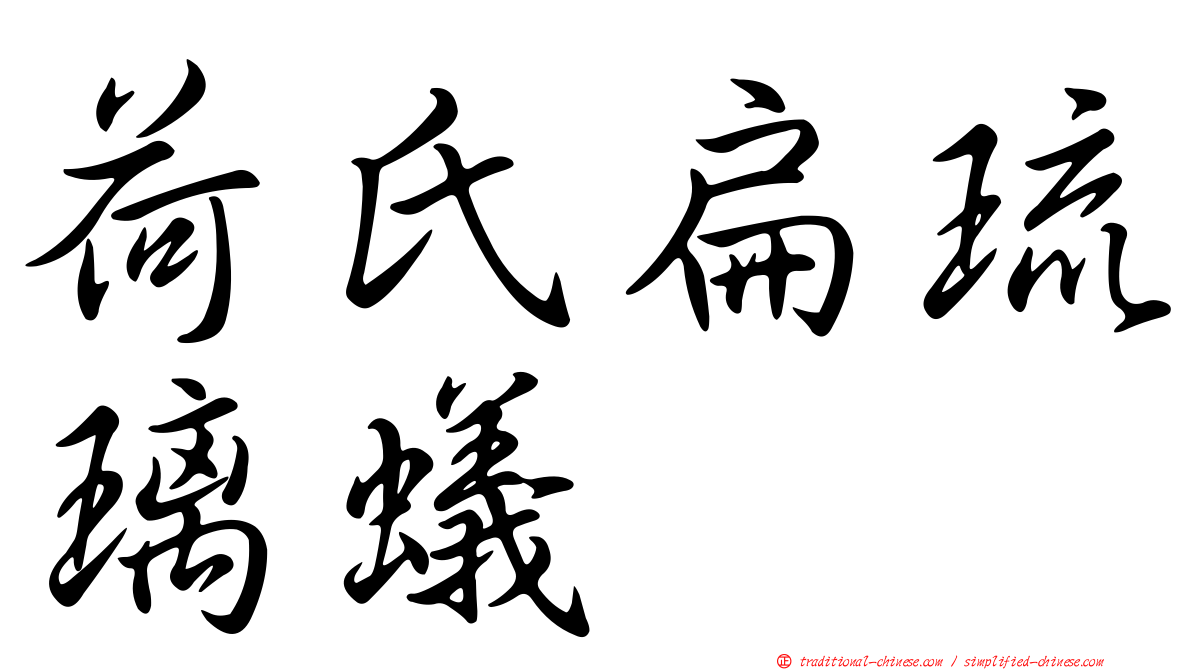 荷氏扁琉璃蟻