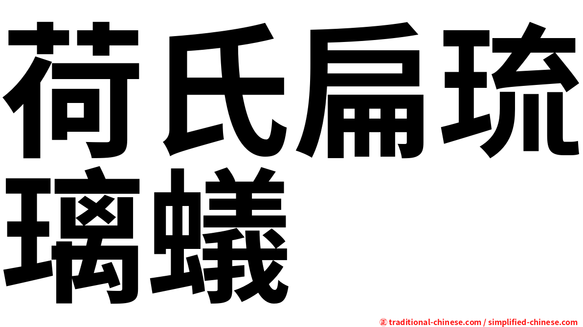 荷氏扁琉璃蟻