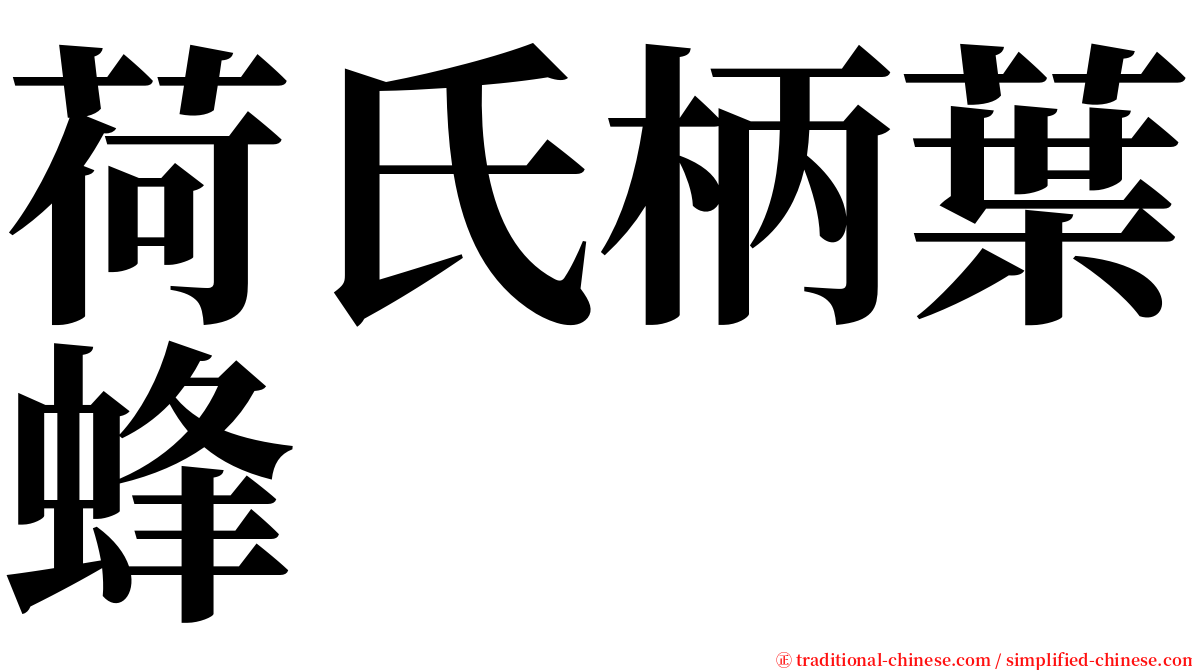 荷氏柄葉蜂 serif font