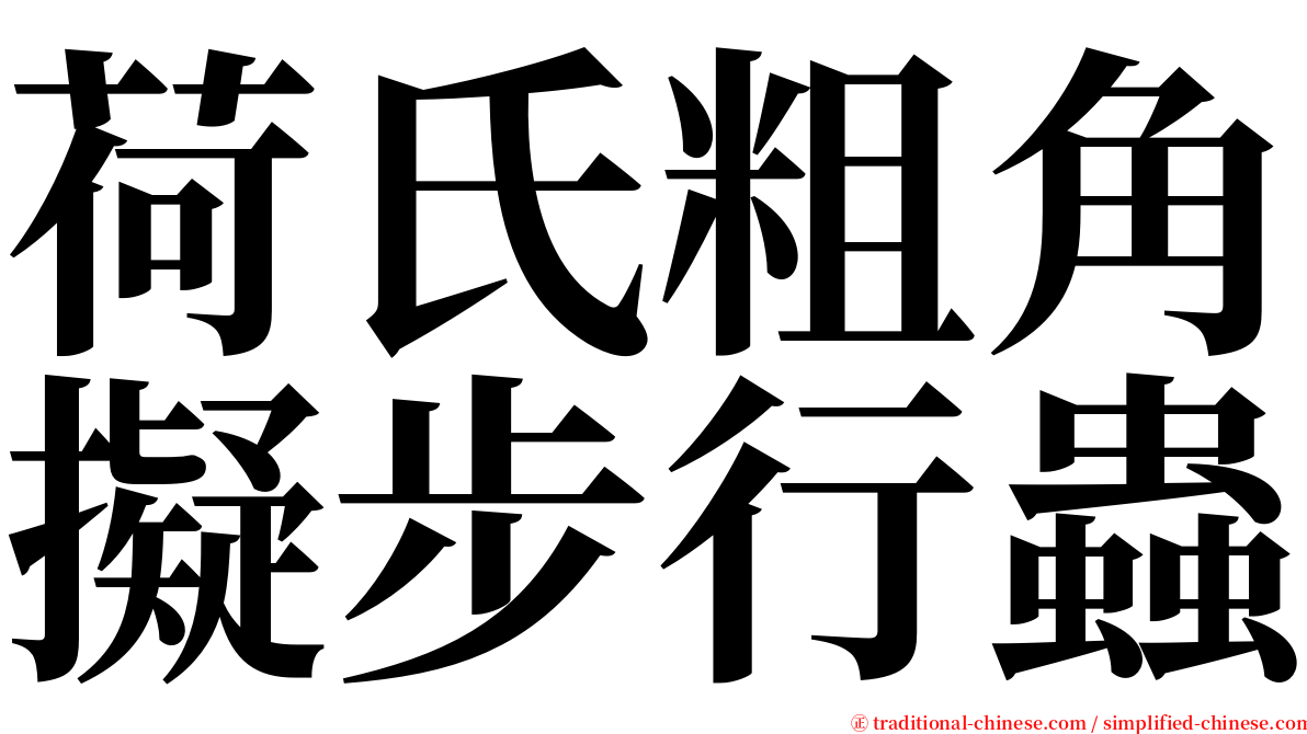 荷氏粗角擬步行蟲 serif font