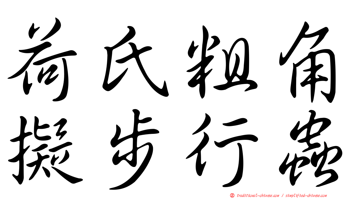 荷氏粗角擬步行蟲