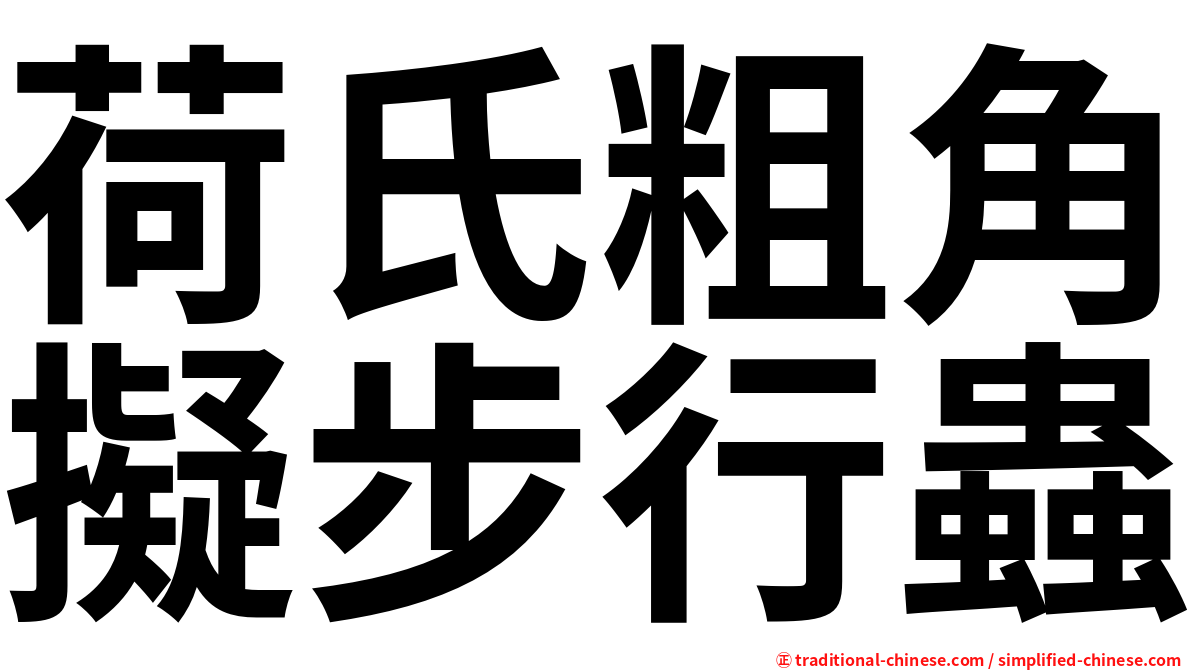 荷氏粗角擬步行蟲