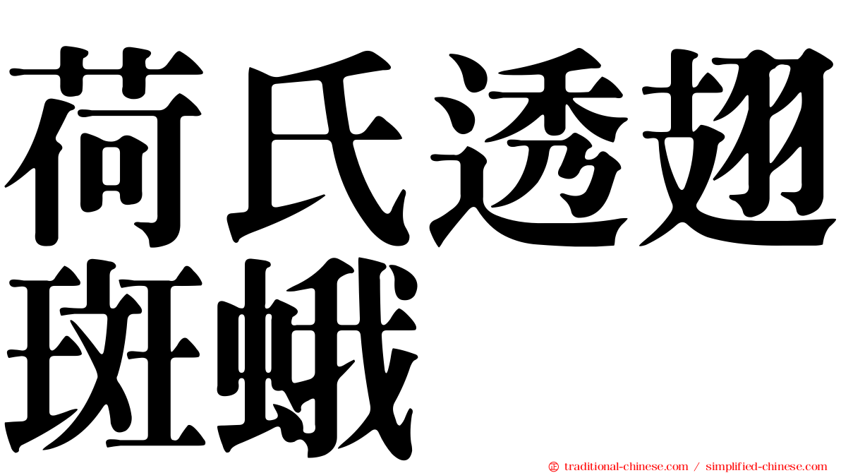 荷氏透翅斑蛾