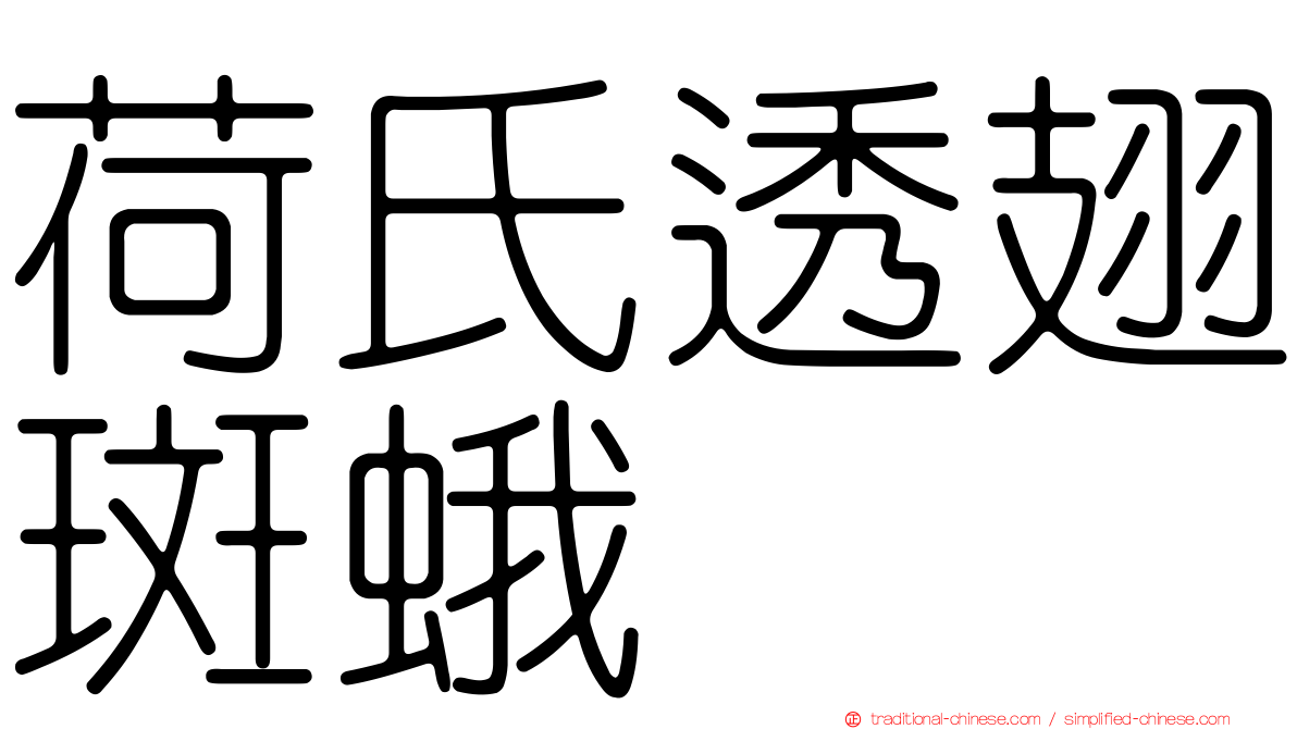 荷氏透翅斑蛾