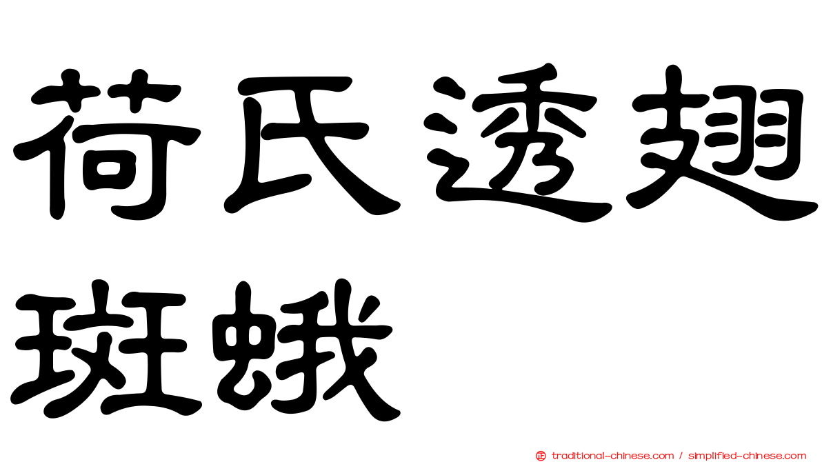 荷氏透翅斑蛾