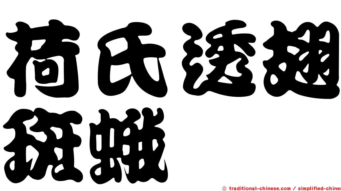 荷氏透翅斑蛾