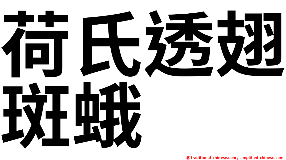 荷氏透翅斑蛾