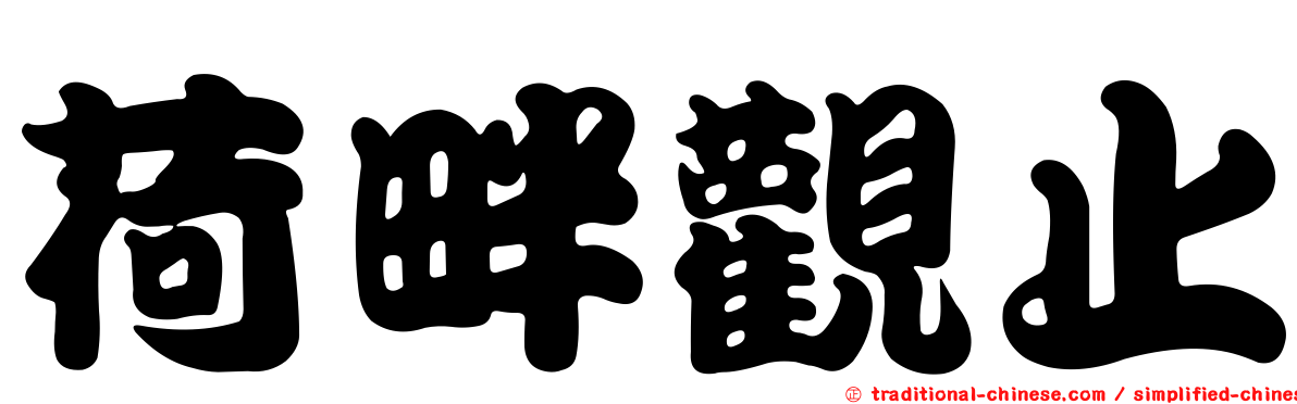 荷畔觀止