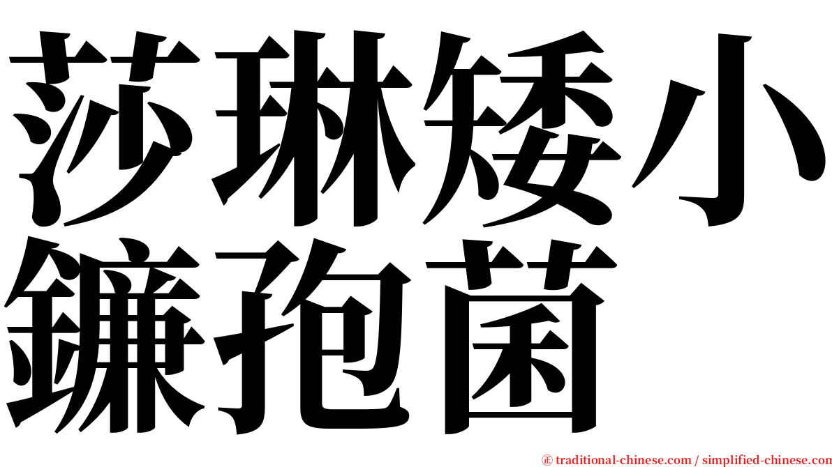莎琳矮小鐮孢菌 serif font