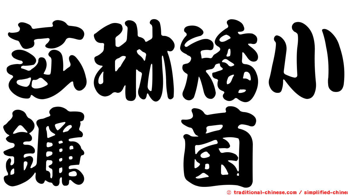 莎琳矮小鐮孢菌
