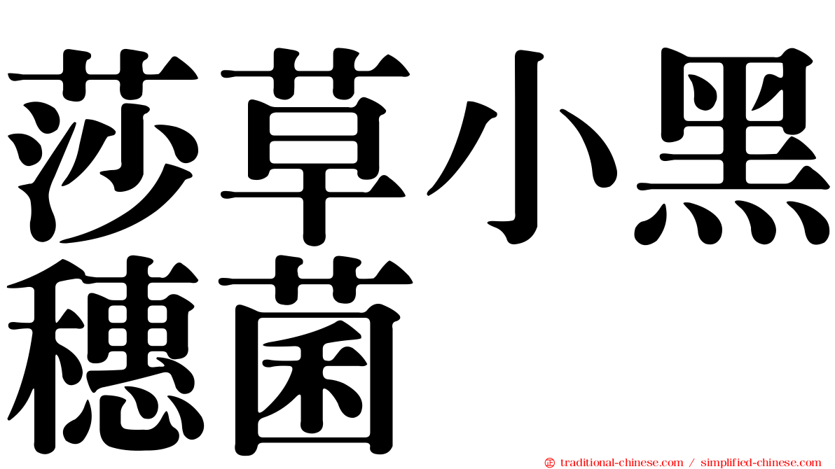 莎草小黑穗菌
