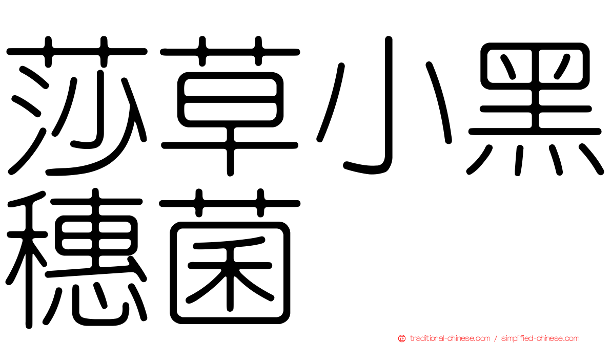 莎草小黑穗菌