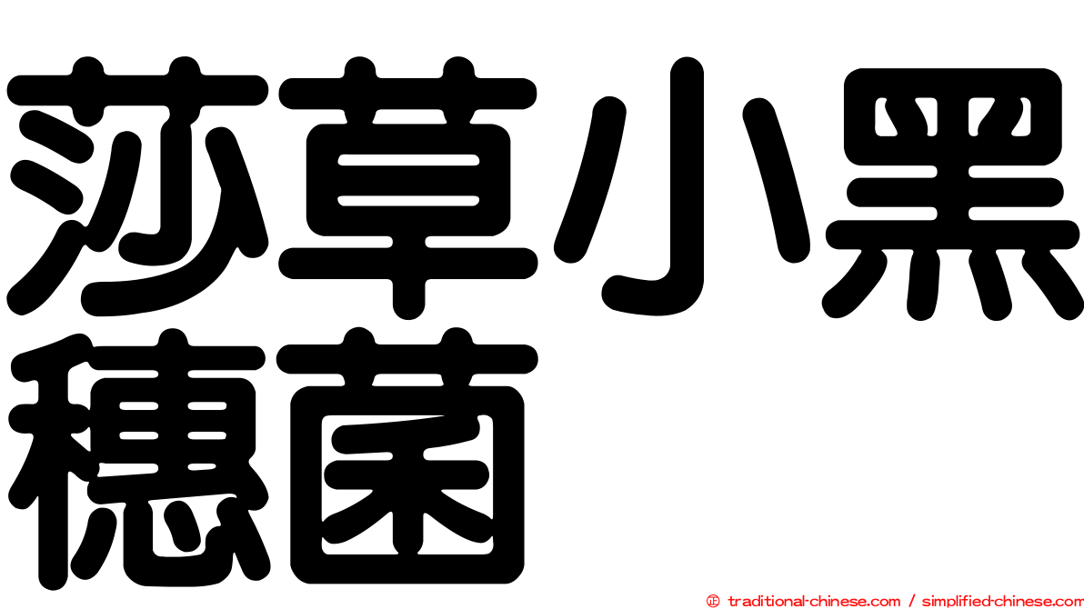 莎草小黑穗菌