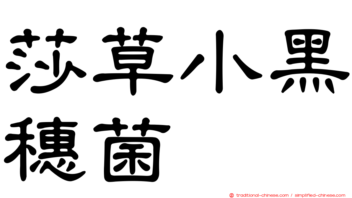 莎草小黑穗菌