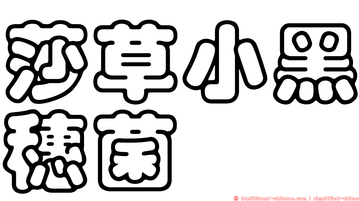 莎草小黑穗菌