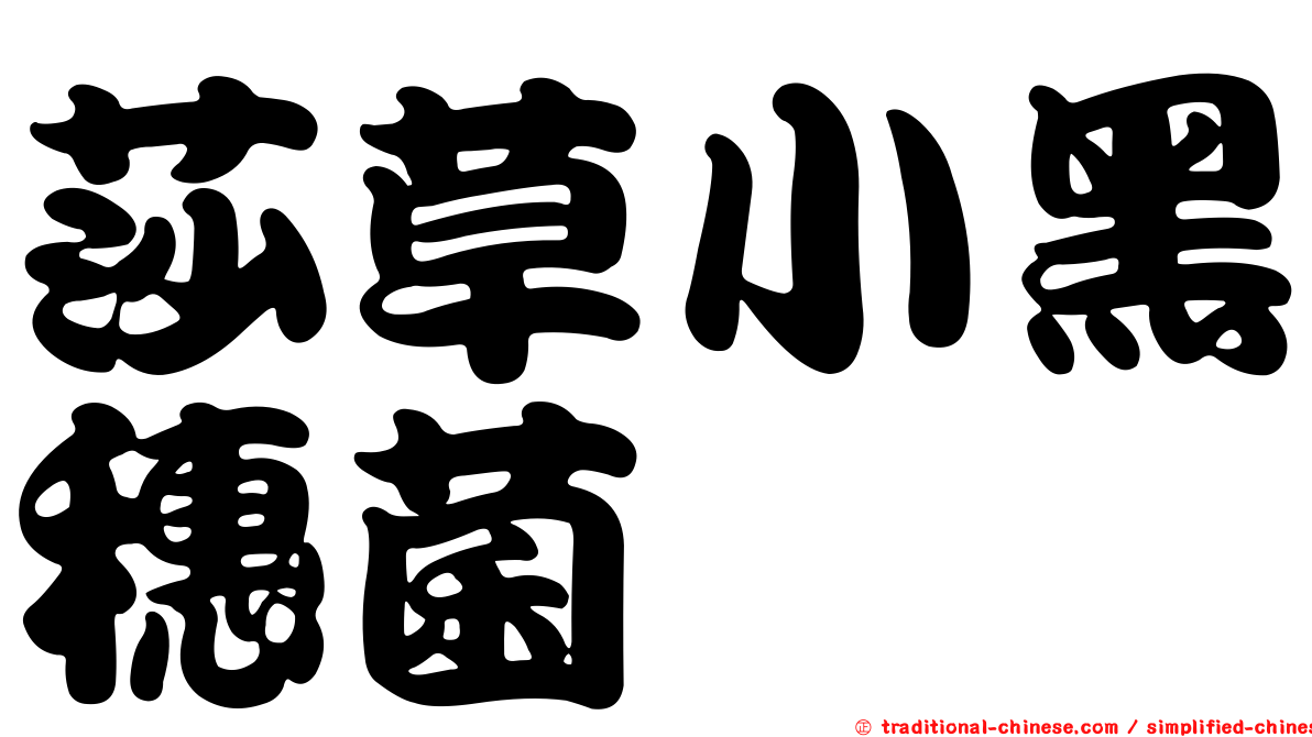 莎草小黑穗菌
