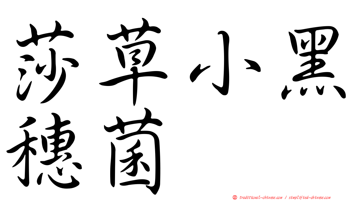 莎草小黑穗菌