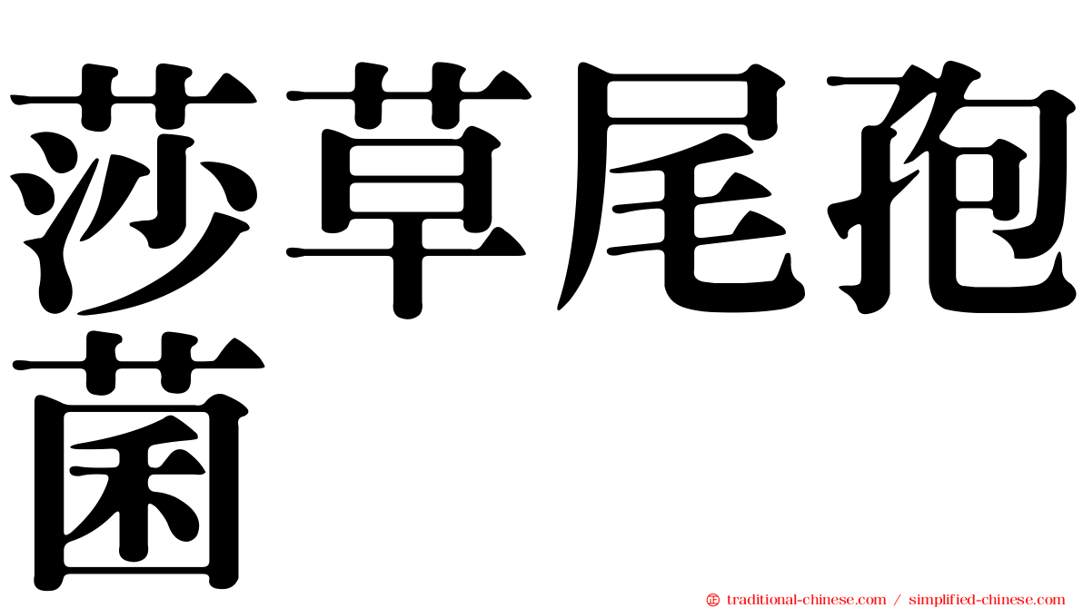 莎草尾孢菌
