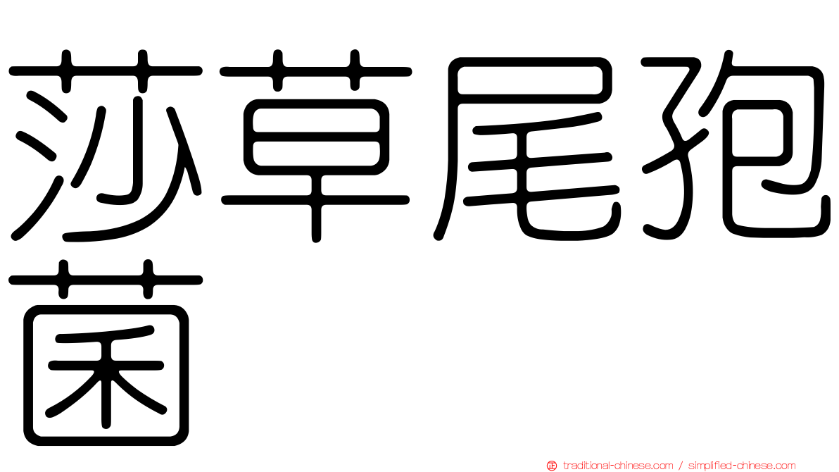 莎草尾孢菌