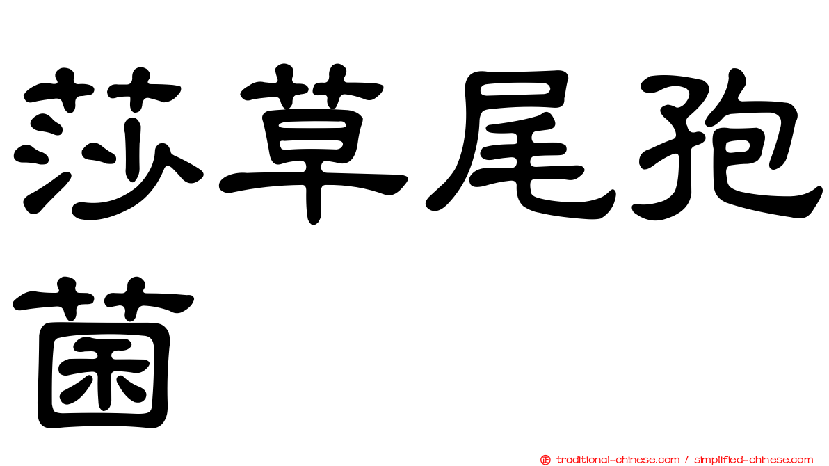 莎草尾孢菌