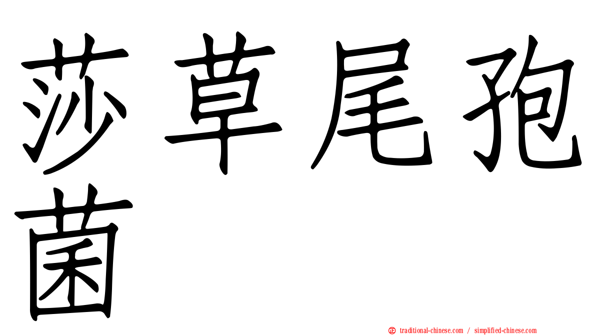 莎草尾孢菌