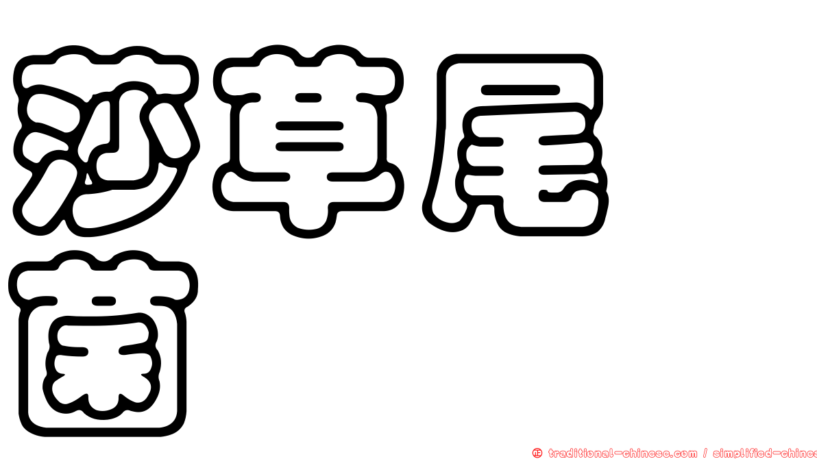 莎草尾孢菌