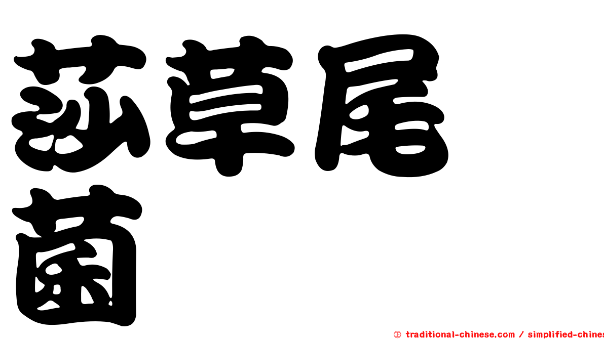 莎草尾孢菌
