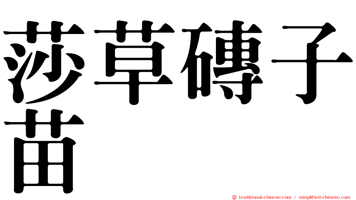 莎草磚子苗
