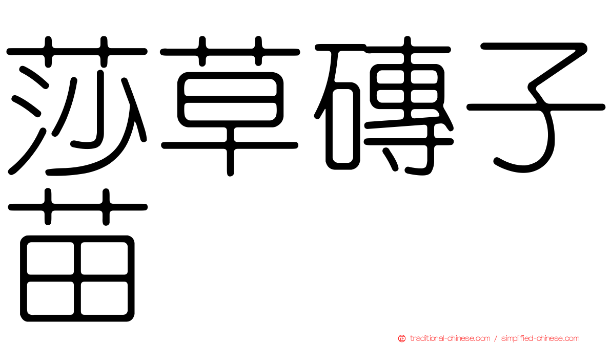 莎草磚子苗