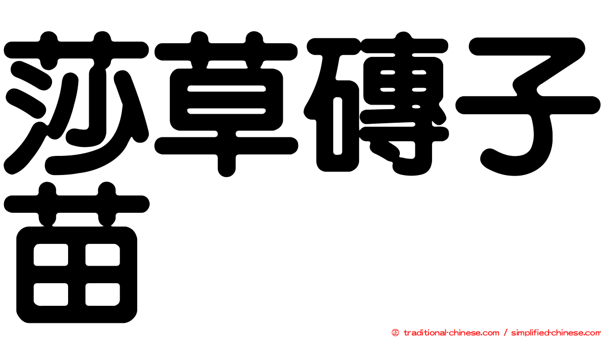 莎草磚子苗
