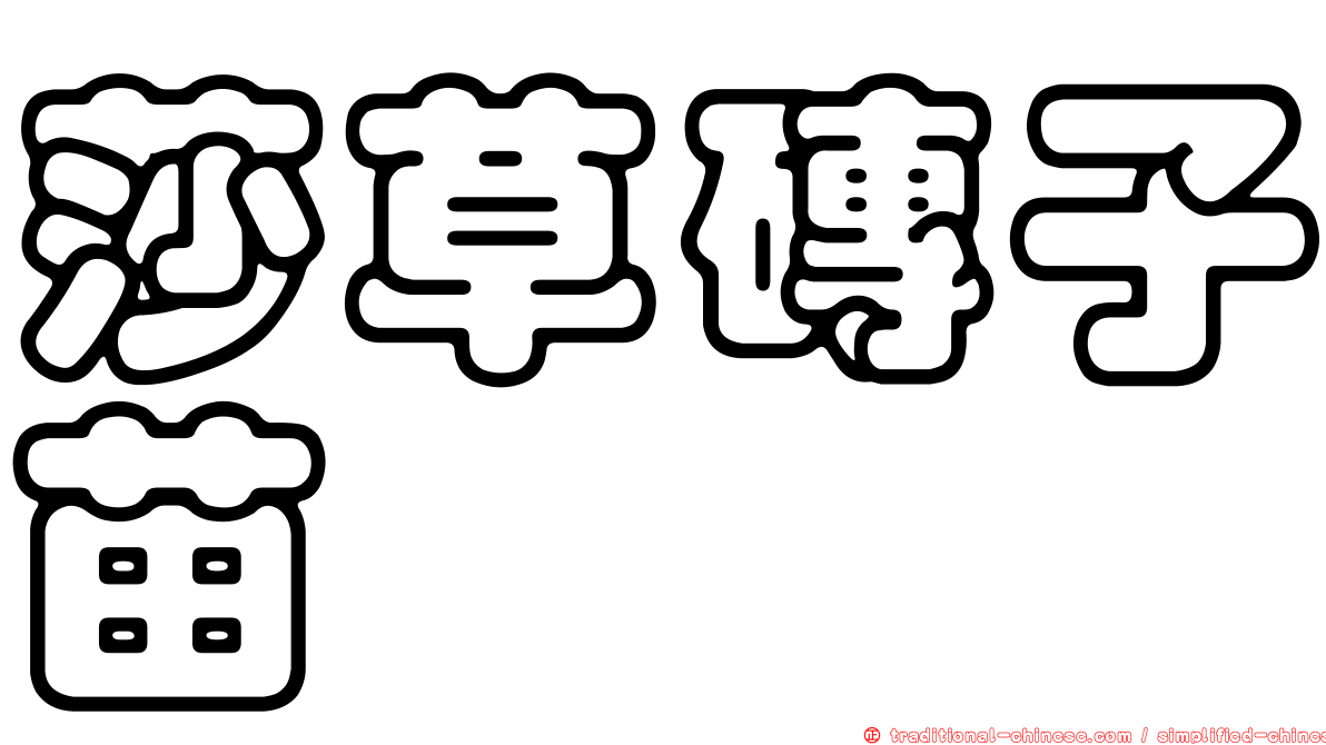 莎草磚子苗