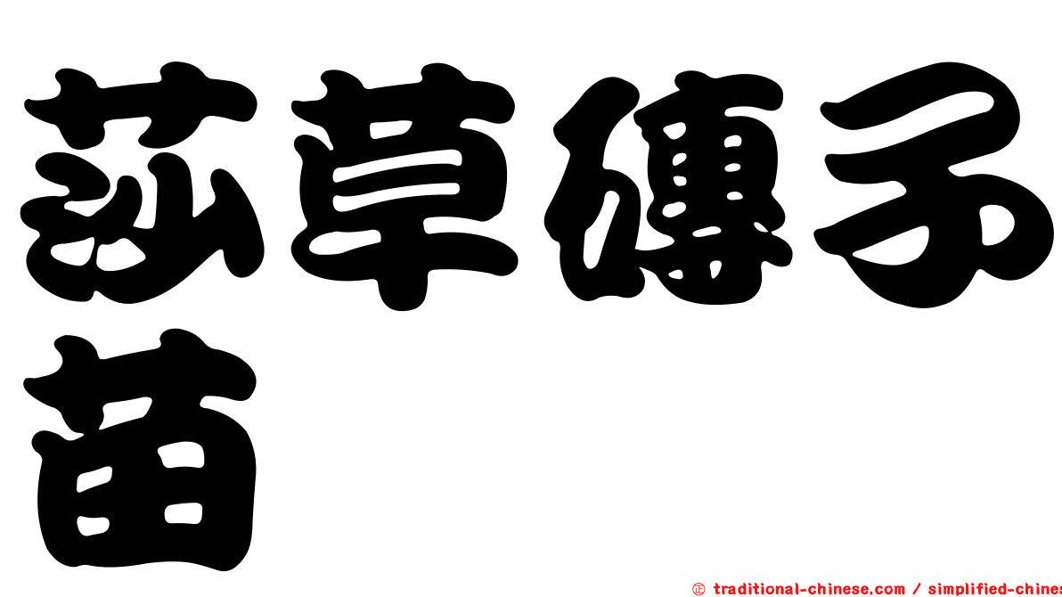 莎草磚子苗