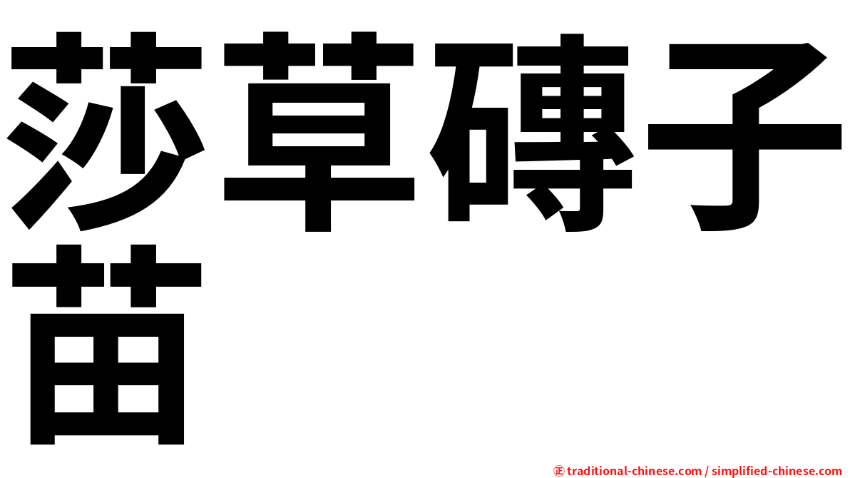 莎草磚子苗