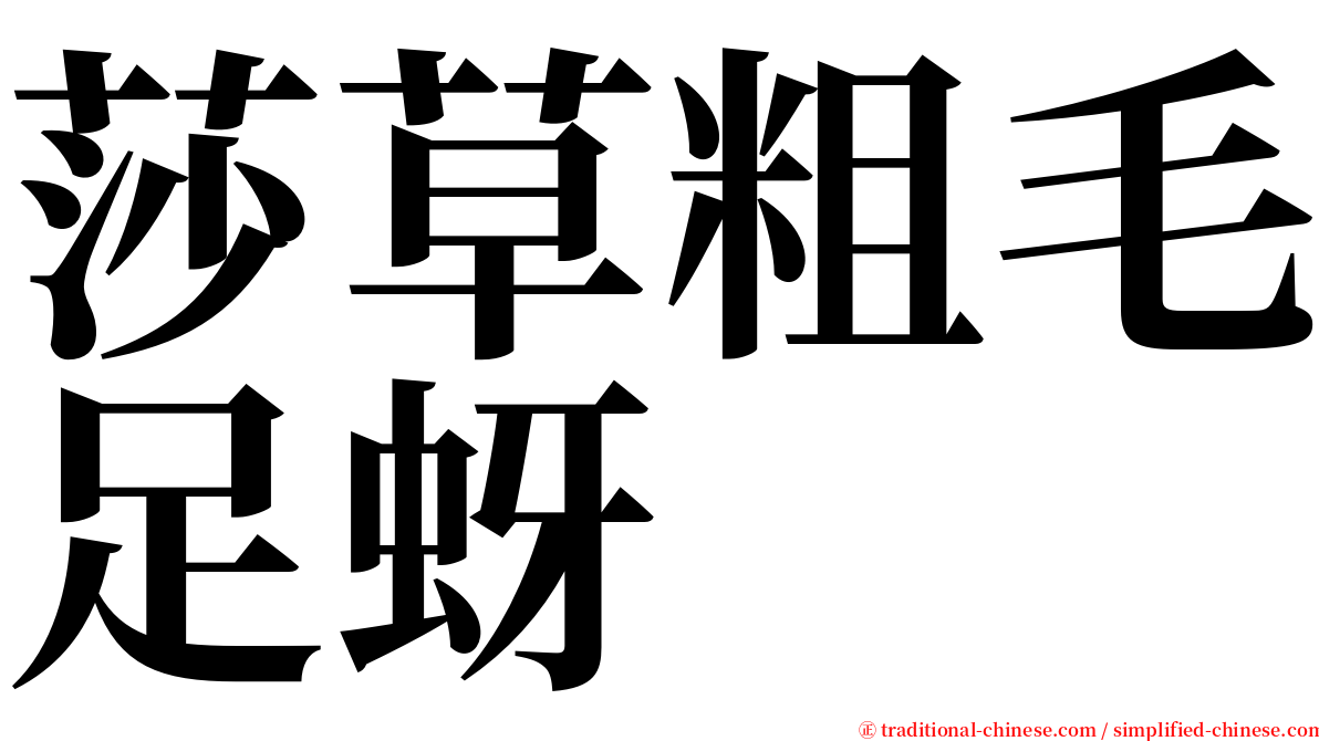 莎草粗毛足蚜 serif font