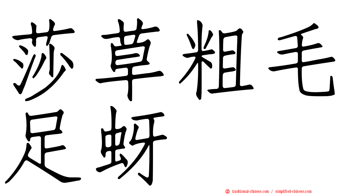 莎草粗毛足蚜