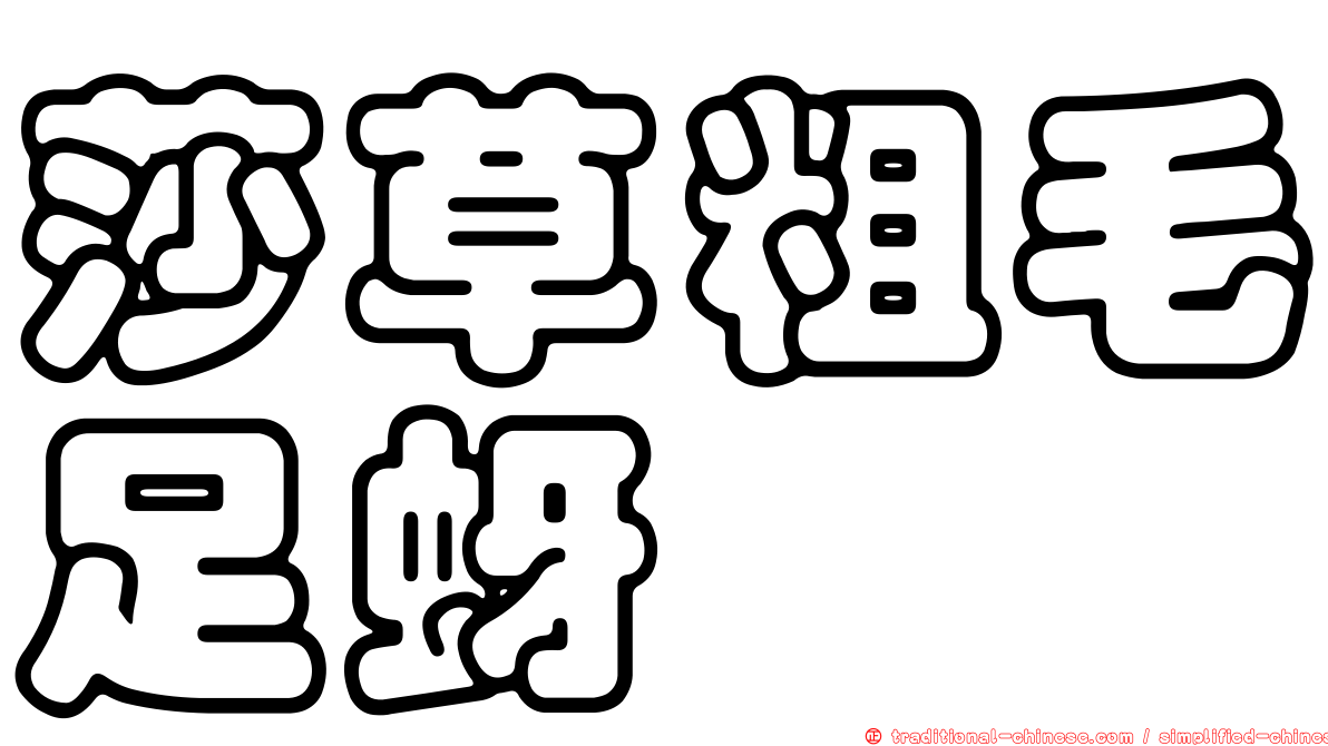 莎草粗毛足蚜