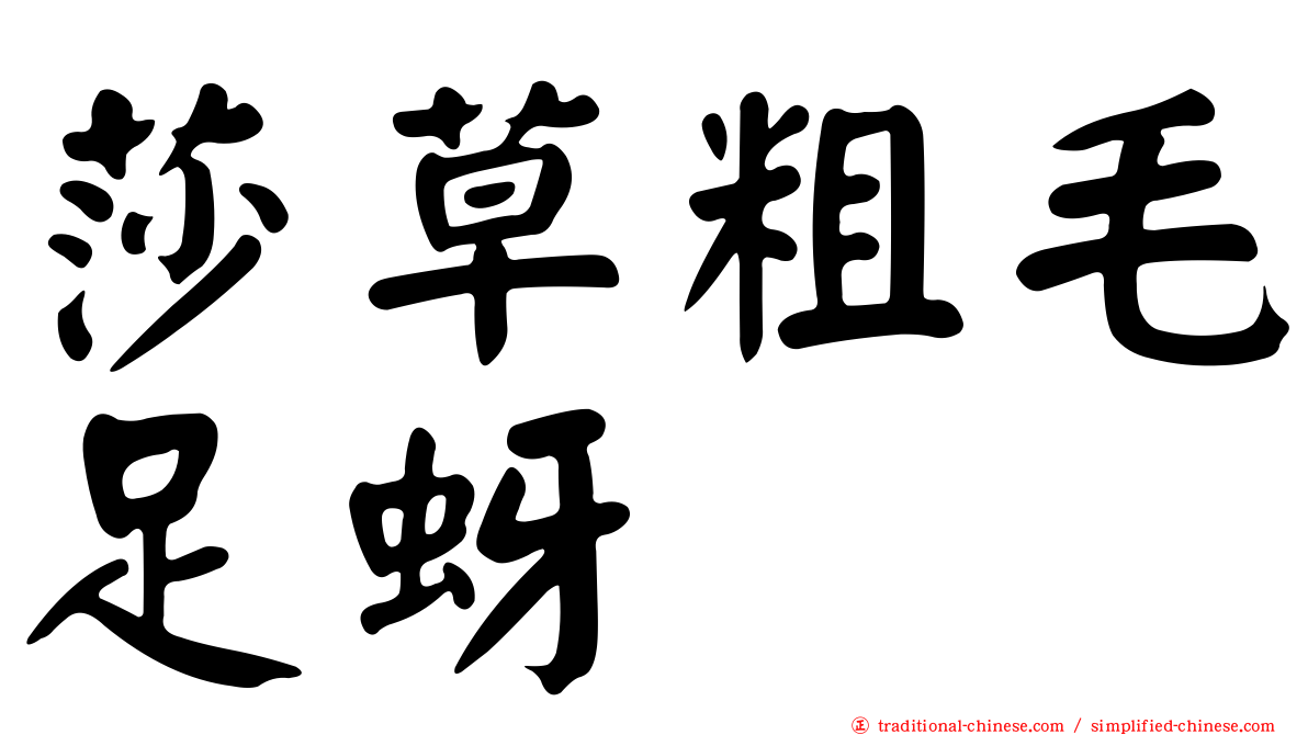 莎草粗毛足蚜