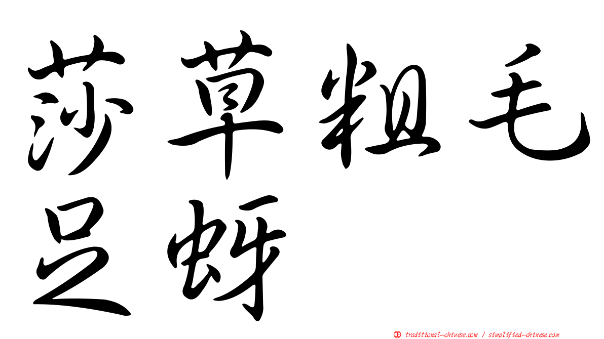 莎草粗毛足蚜