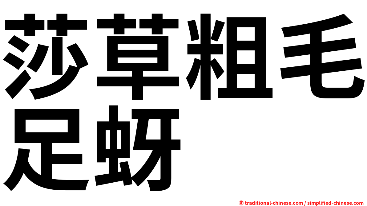 莎草粗毛足蚜