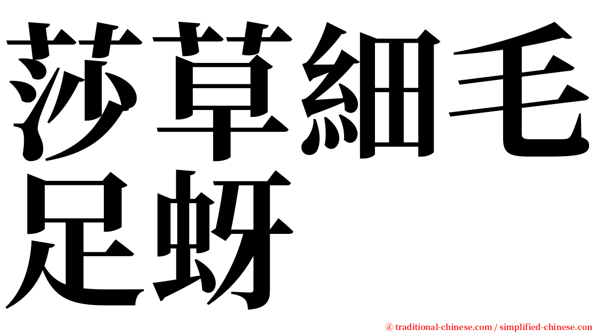 莎草細毛足蚜 serif font