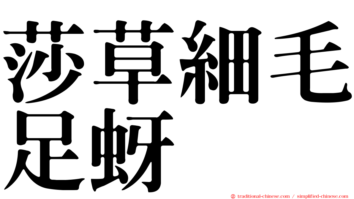 莎草細毛足蚜