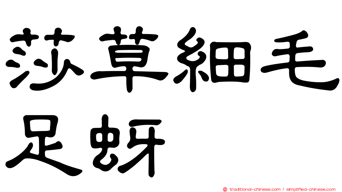 莎草細毛足蚜