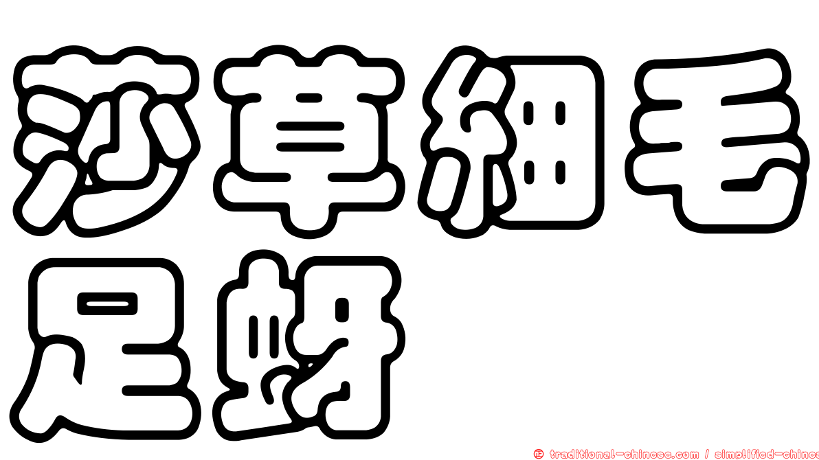莎草細毛足蚜