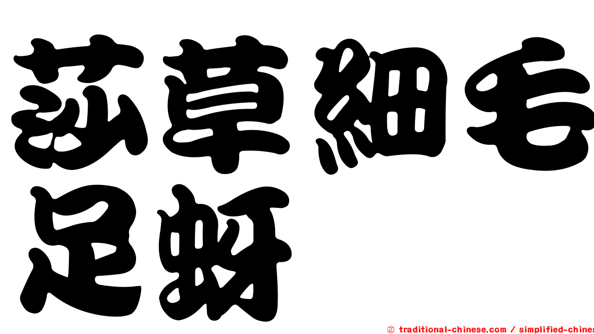 莎草細毛足蚜