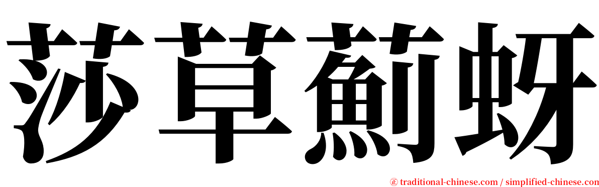 莎草薊蚜 serif font