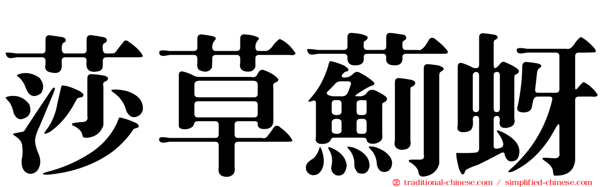 莎草薊蚜