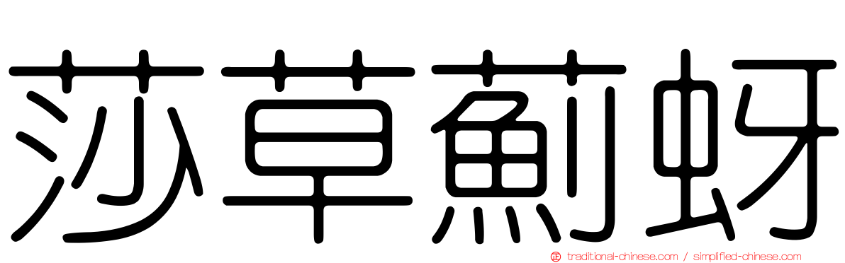 莎草薊蚜