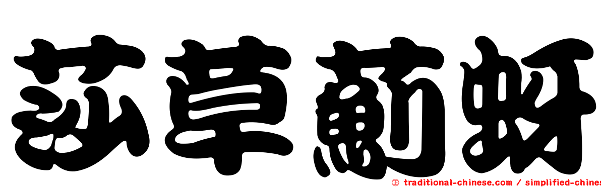 莎草薊蚜