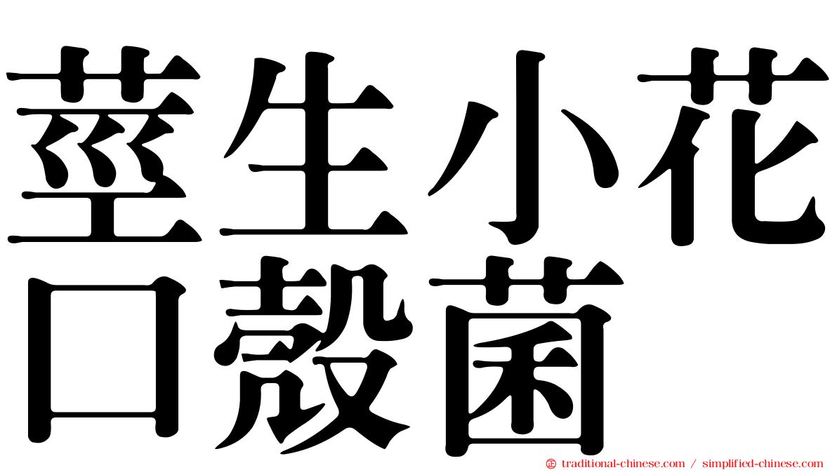 莖生小花口殼菌
